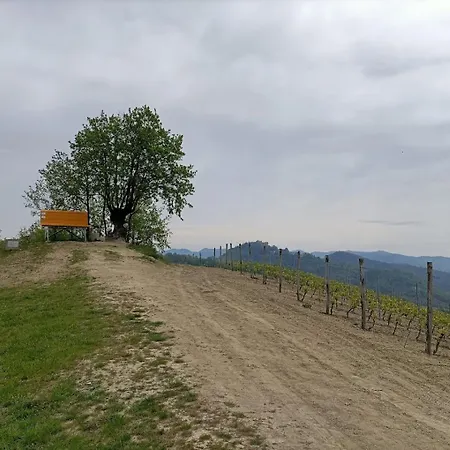 Monferrato Bed&bike Murisengo